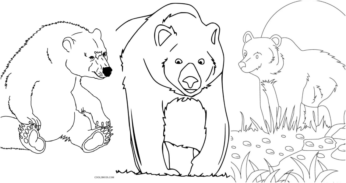 25 Free Bear Coloring Pages For Kids And Adults Blitsy