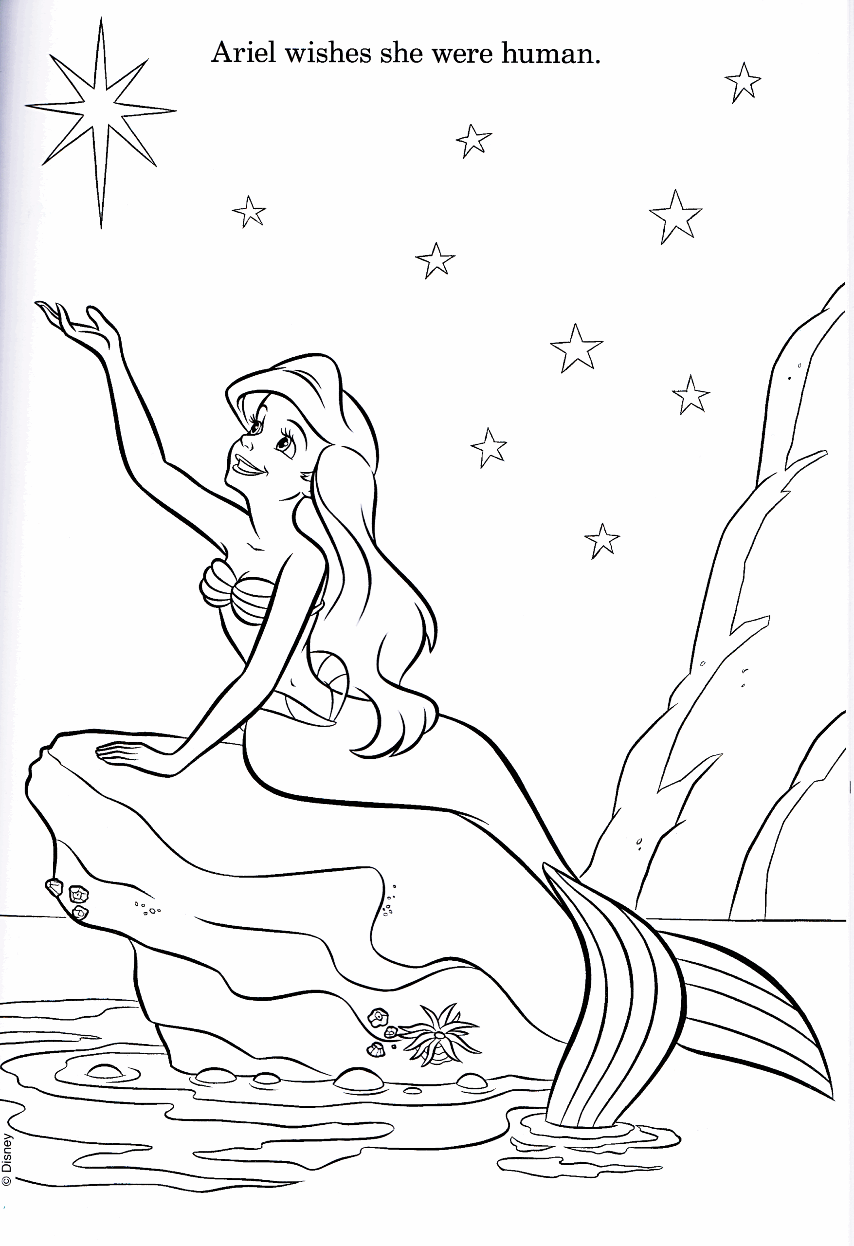 Adult Disney Ariel Coloring Pages Coloring Pages