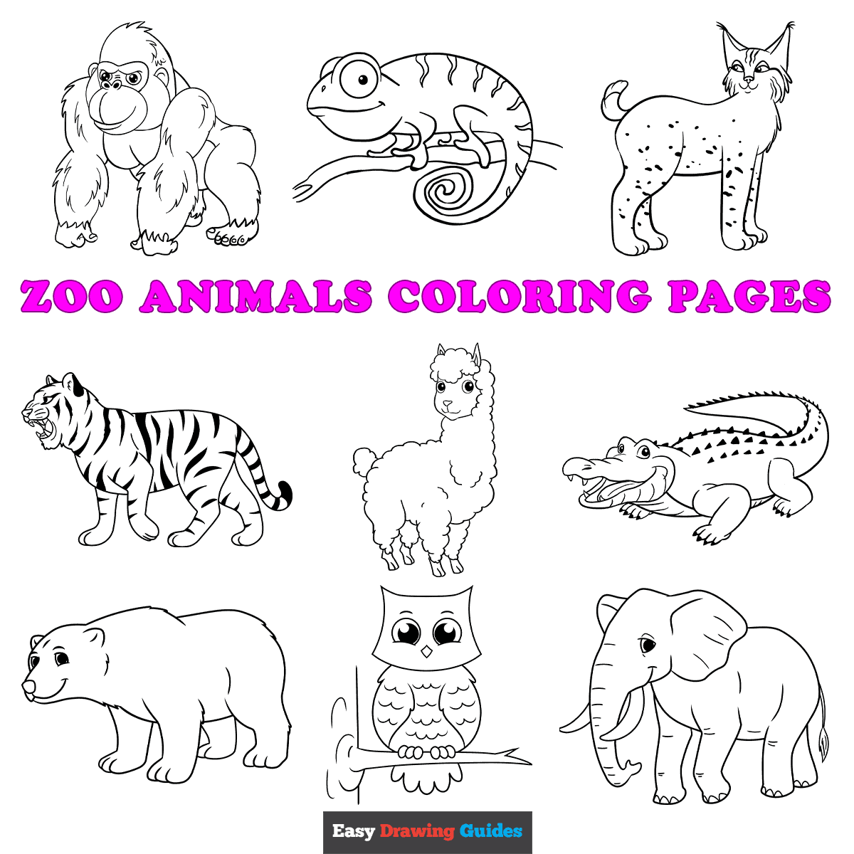 Animals Coloring Pages Baby Animals Coloring Pages