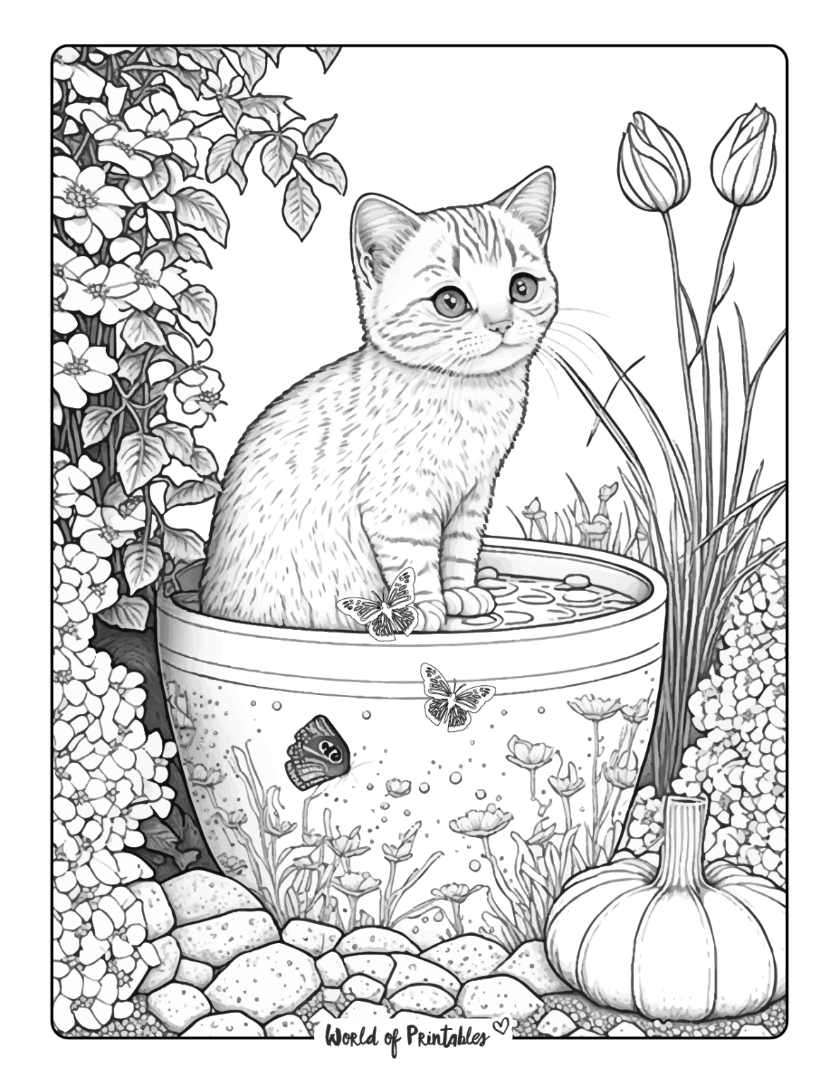 Cat Coloring Pages For Kids Adults World Of Printables