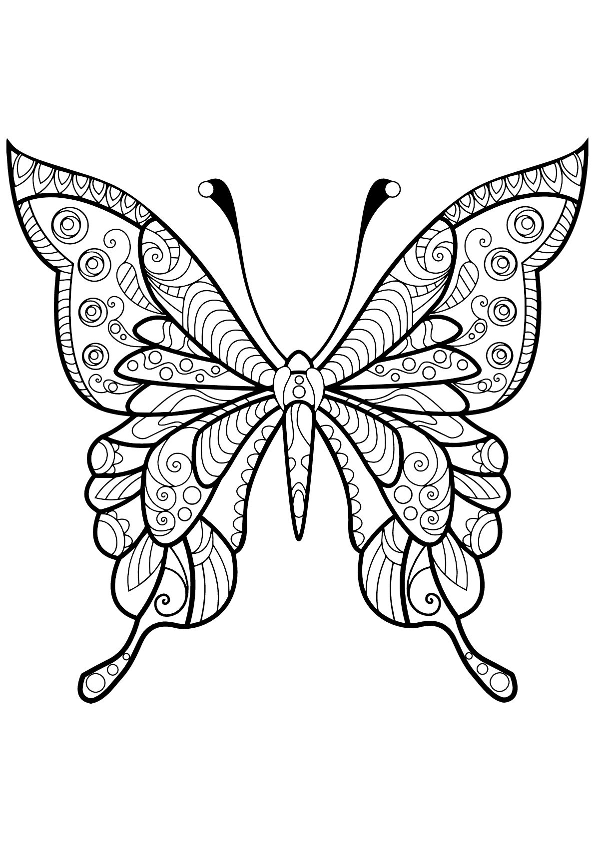 Color Pages For Kids Butterfly This Arthearty Article Gives You 50 