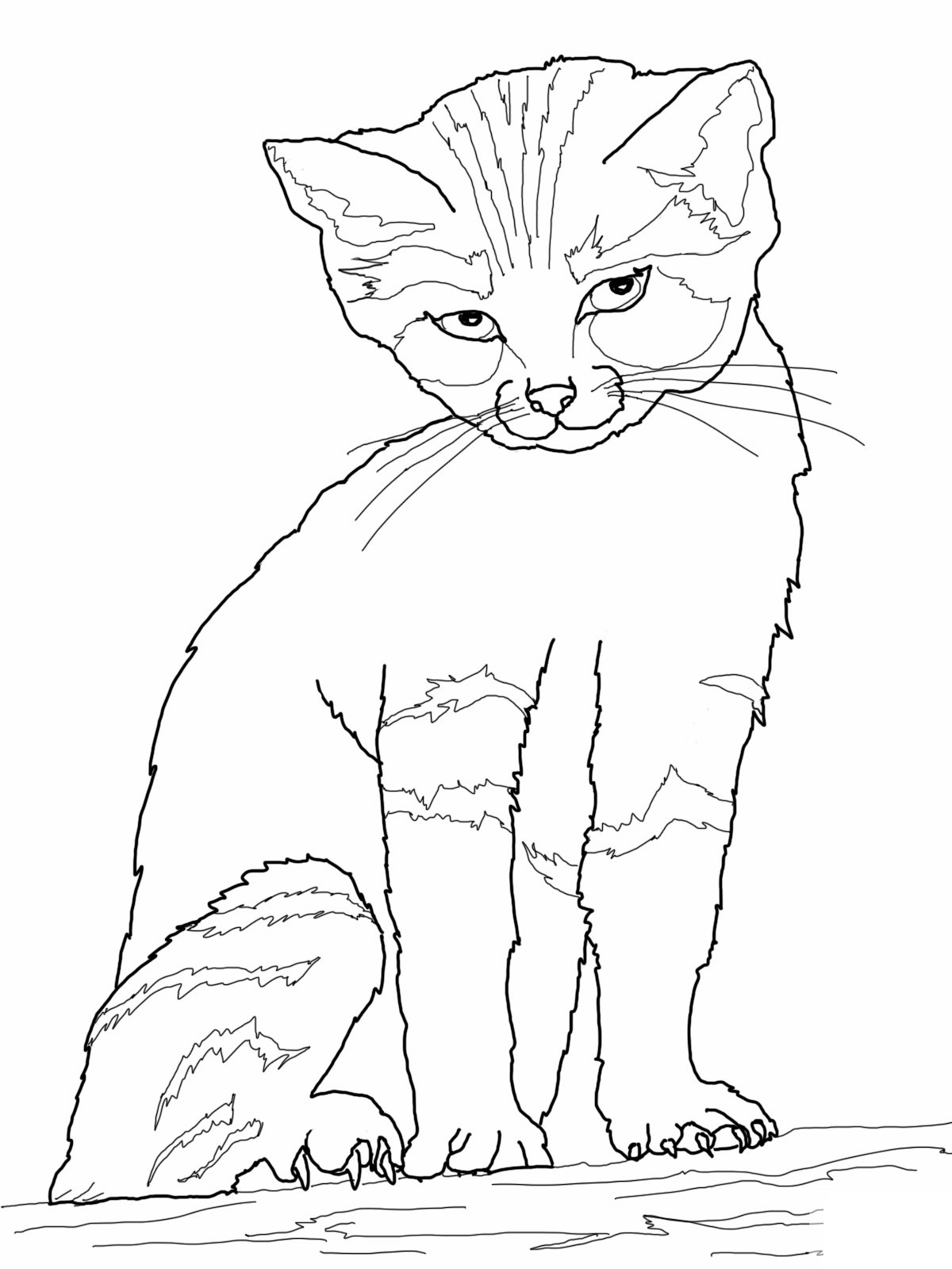 Coloring Pages Printable Cats