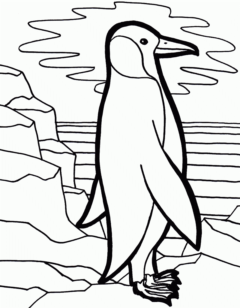 Cute Baby Penguin Coloring Pages Coloring Home