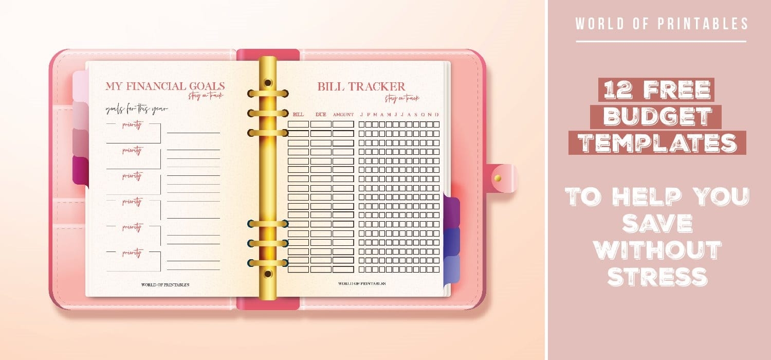 Cute Biweekly Budget Template Guitartata