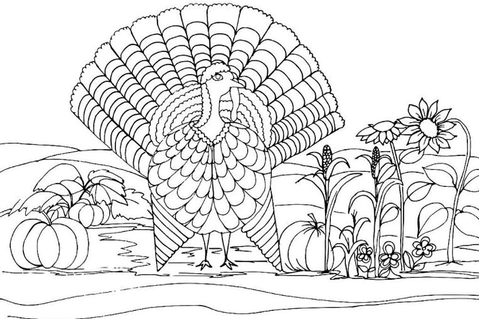 Dragon Coloring Pages Free 11 Turkey Coloring Pages Printable 
