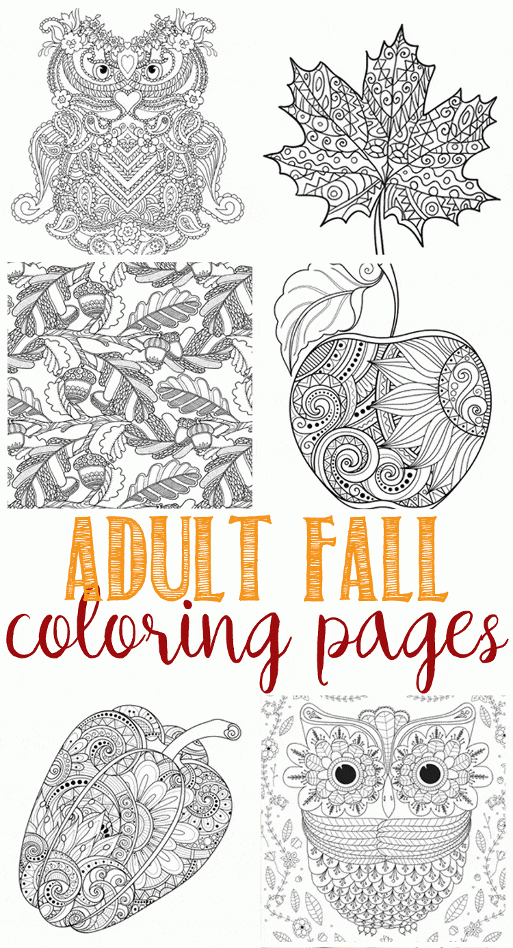 Fall Coloring Pages For Adults Domestically Speaking