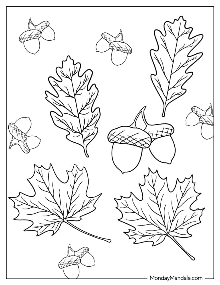 Fall Leaves Coloring Pages For Kindergarten Infoupdate