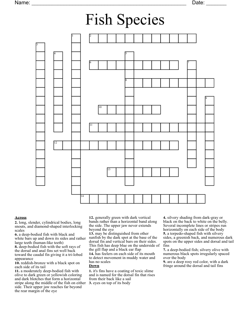 Fishing Crossword Puzzle Printable