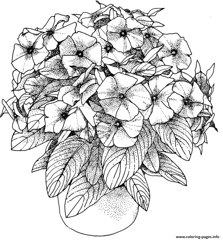 Flowers Pictures Adults Coloring Pages Printable