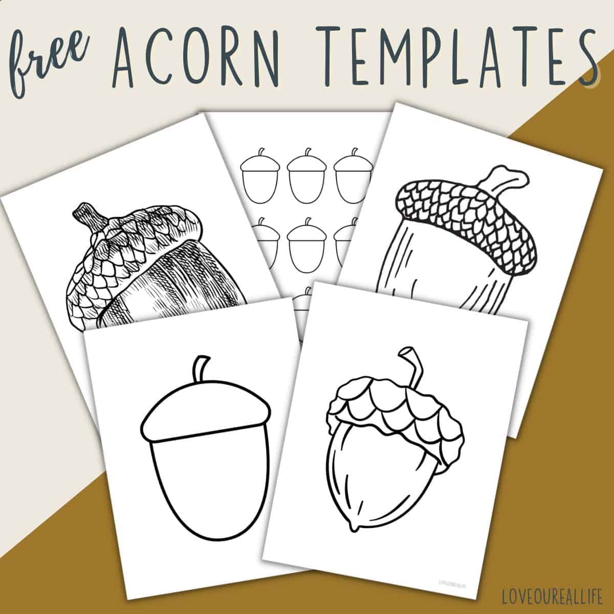 Free Acorn Template Printables Acorn Shapes For Crafts Love Our 