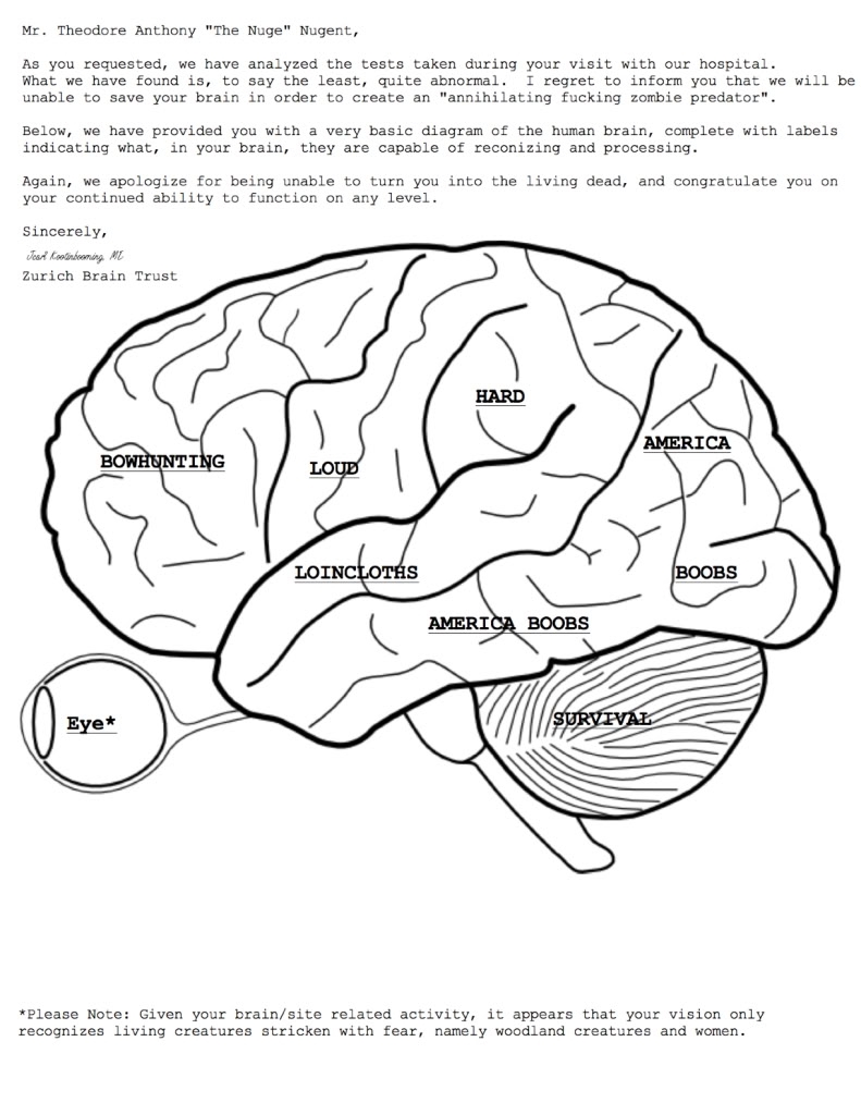 Free Anatomy And Physiology Coloring Pages Coloring Home