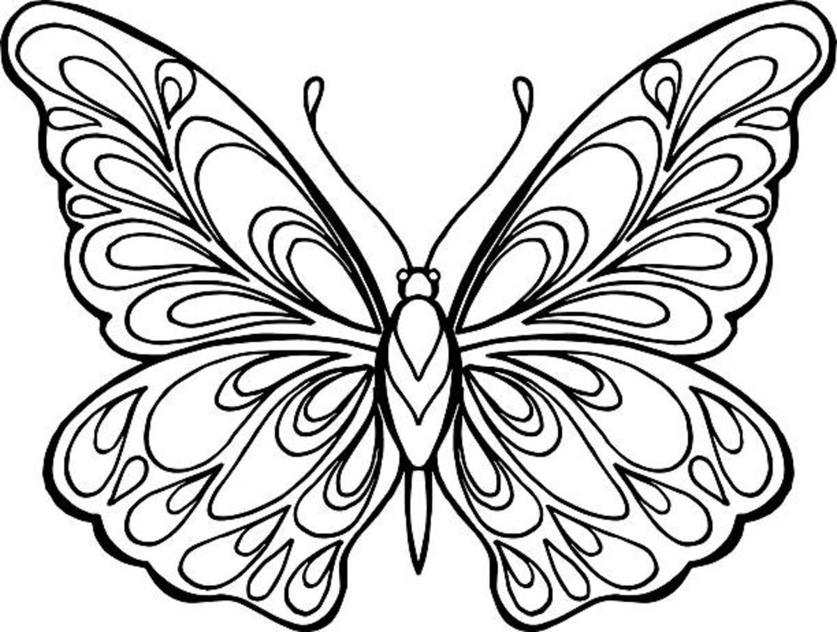 Free Butterfly Color Pages A Colorful Adventure For Kids