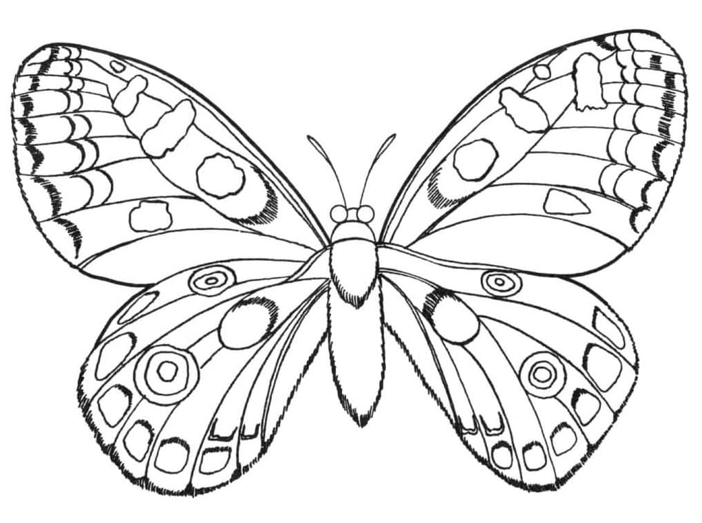 Free Butterfly Coloring Page Free Printable Coloring Pages For Kids