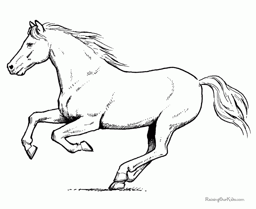 Free Coloring Pages Horses Coloring Home