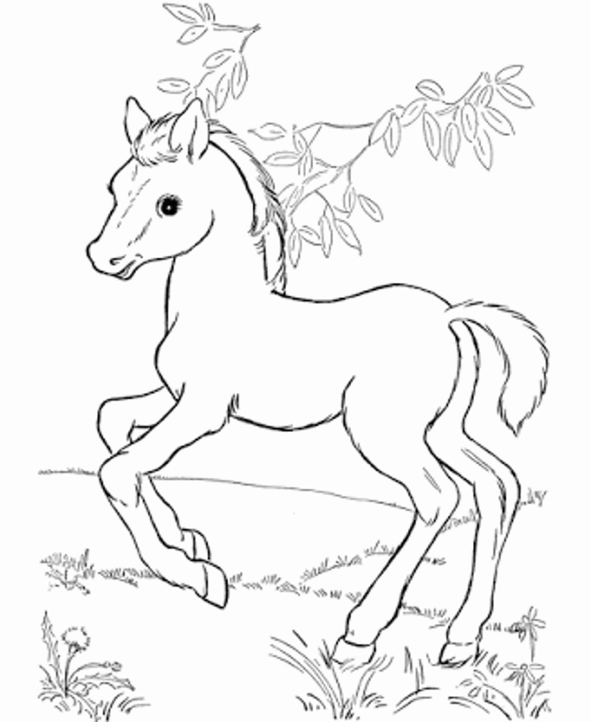Free Coloring Pages Printable Horse Printable Online