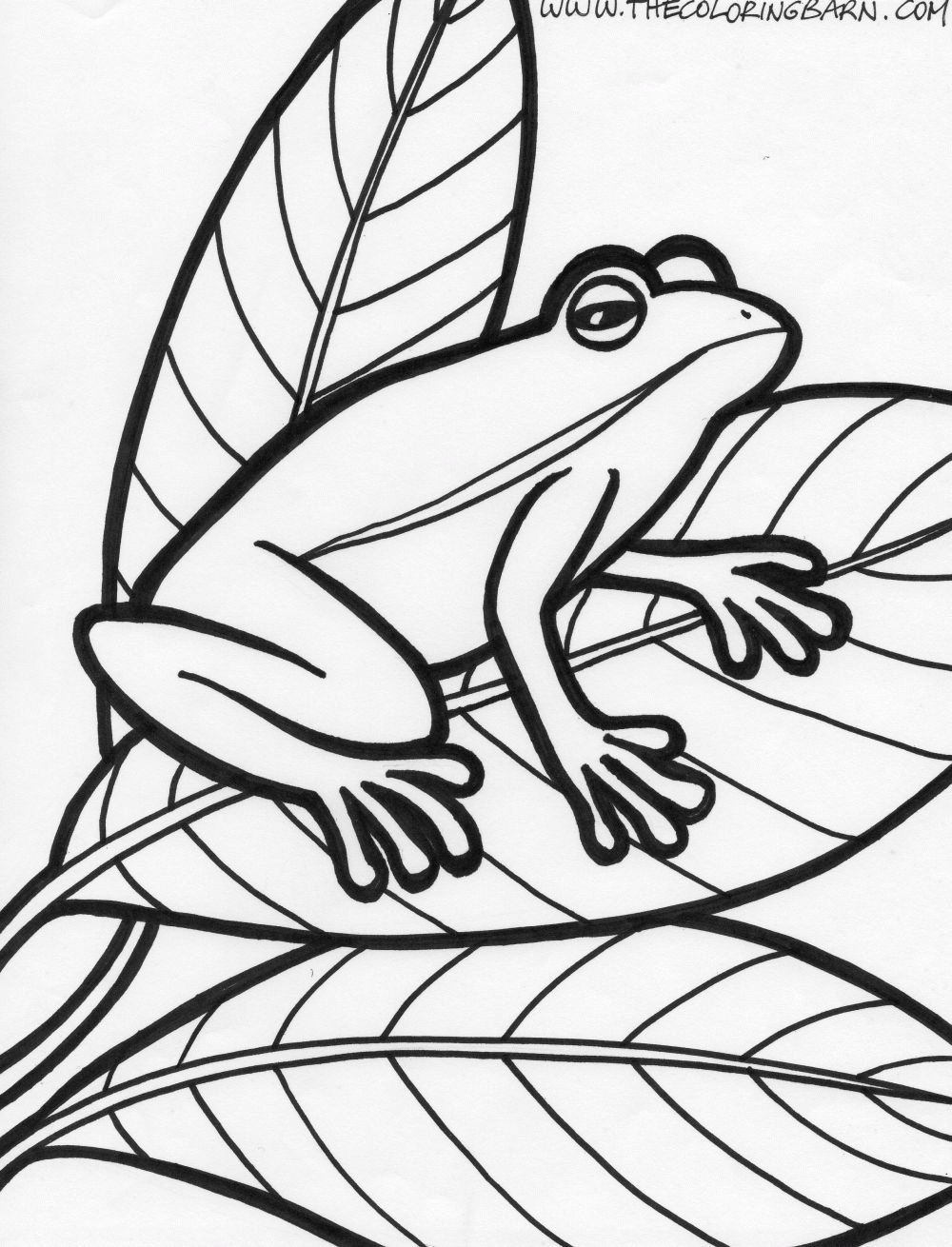 Free Frog Coloring Page Coloring Home