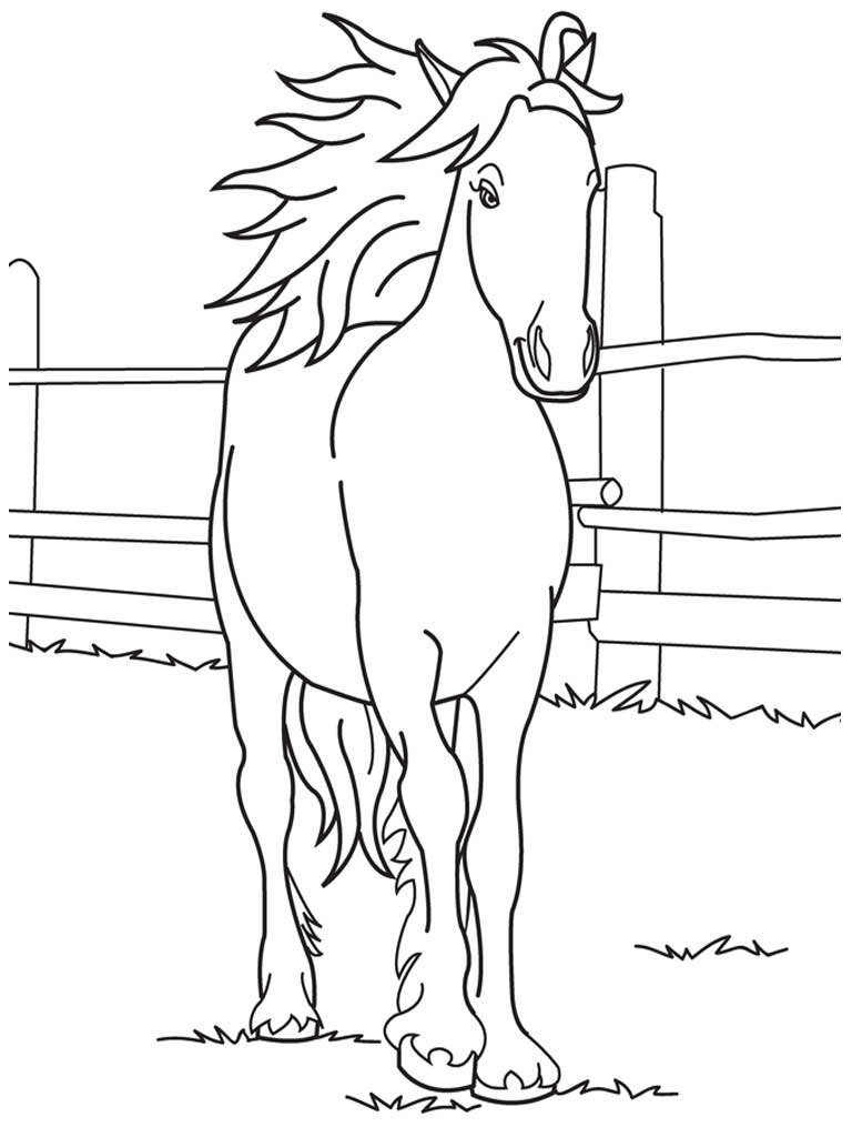 Free Horse Printable Coloring Pages Book For Kids 