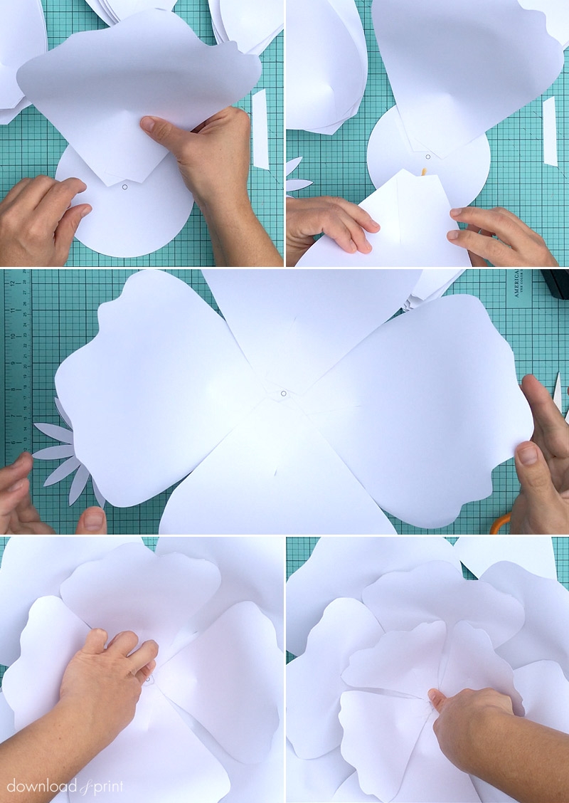 Free Large Rose Paper Flower Template Best Flower Site