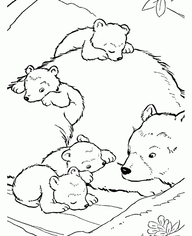 Free Printable Bear Coloring Pages For Kids