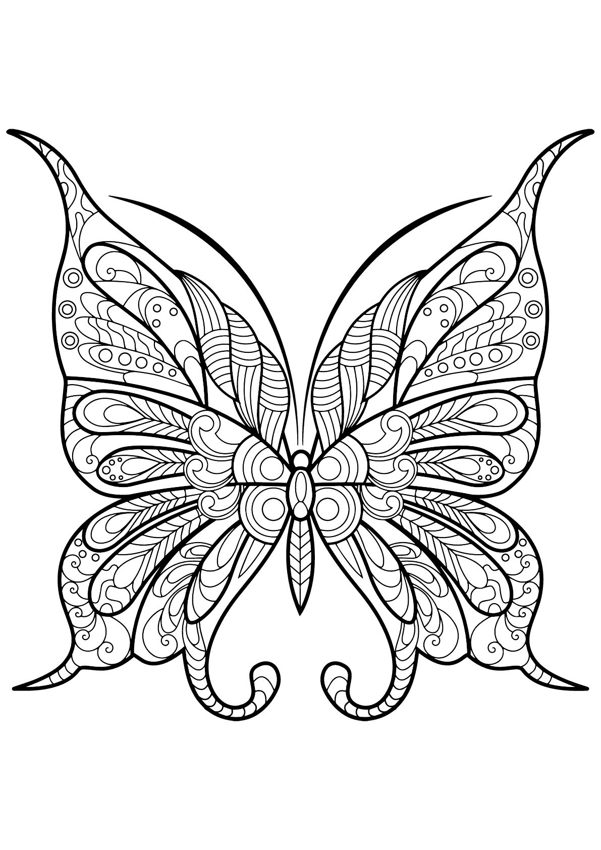 Free Printable Butterfly Coloring Page Butterfly Coloring Pages