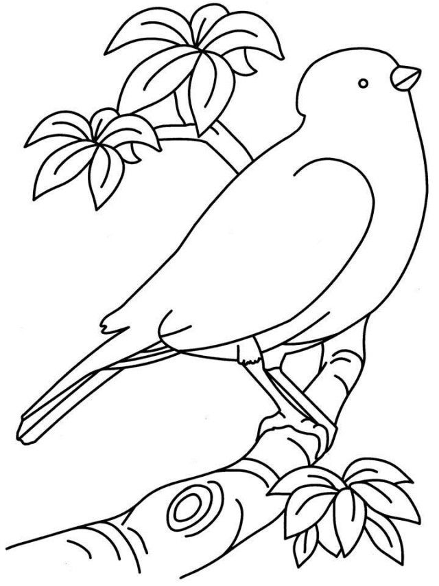 Free Printable Coloring Pages Birds Download Free Printable Coloring 