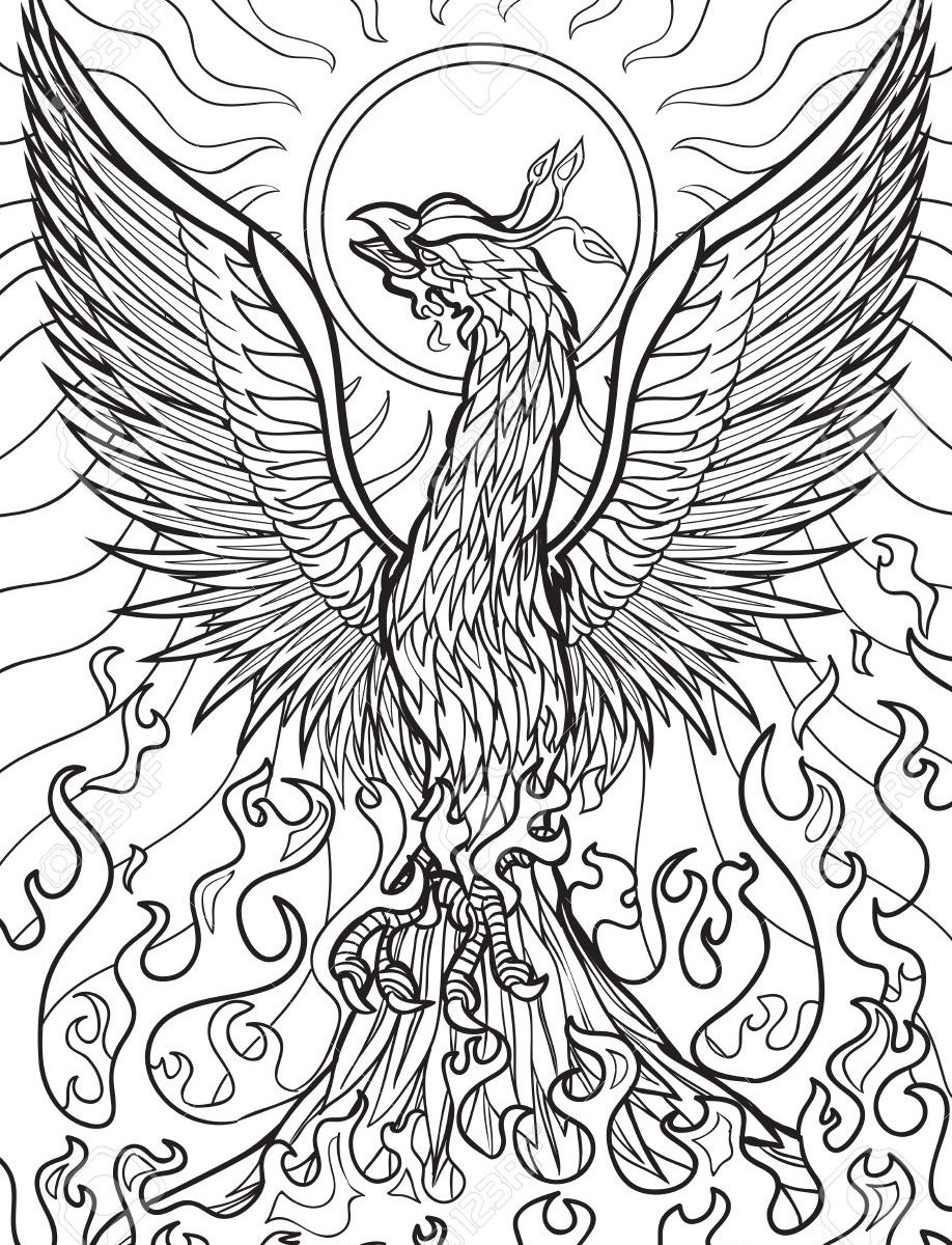 Free Printable Coloring Pages For Adults Animals At GetColorings 