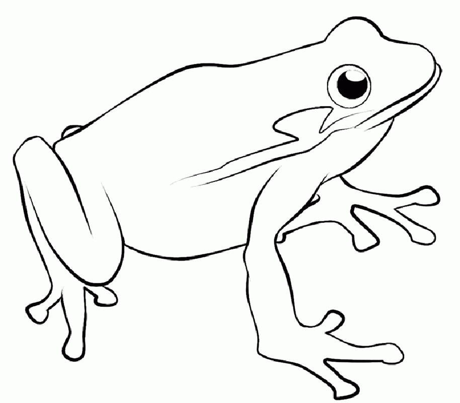 Free Printable Coloring Pages Of Frogs Coloring Home