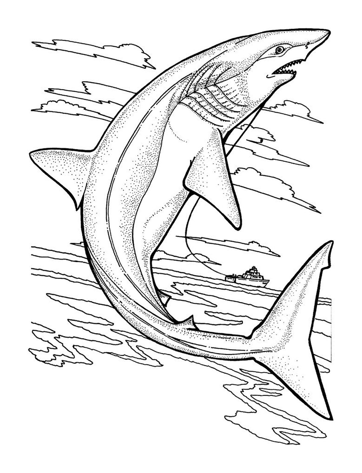 Free Printable Coloring Pages Sharks Printable Calendar