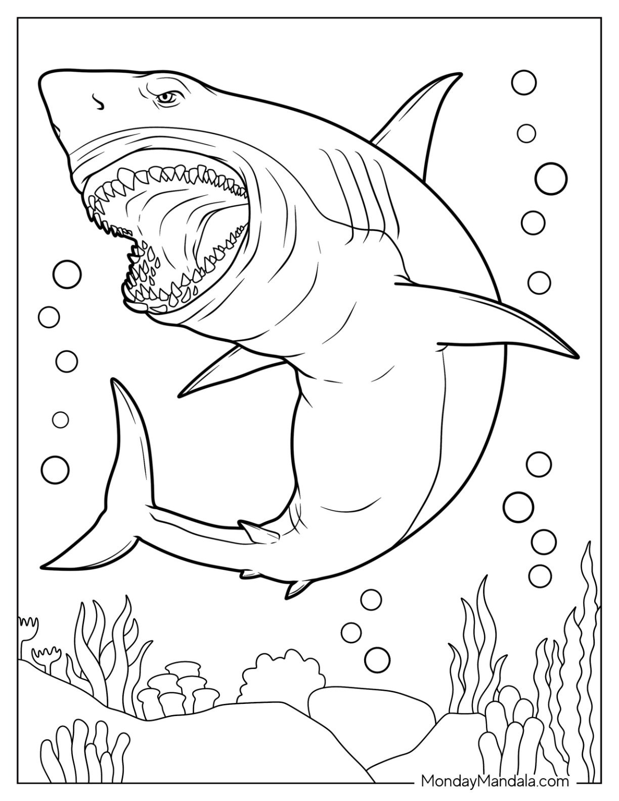 Free Printable Coloring Pages Sharks