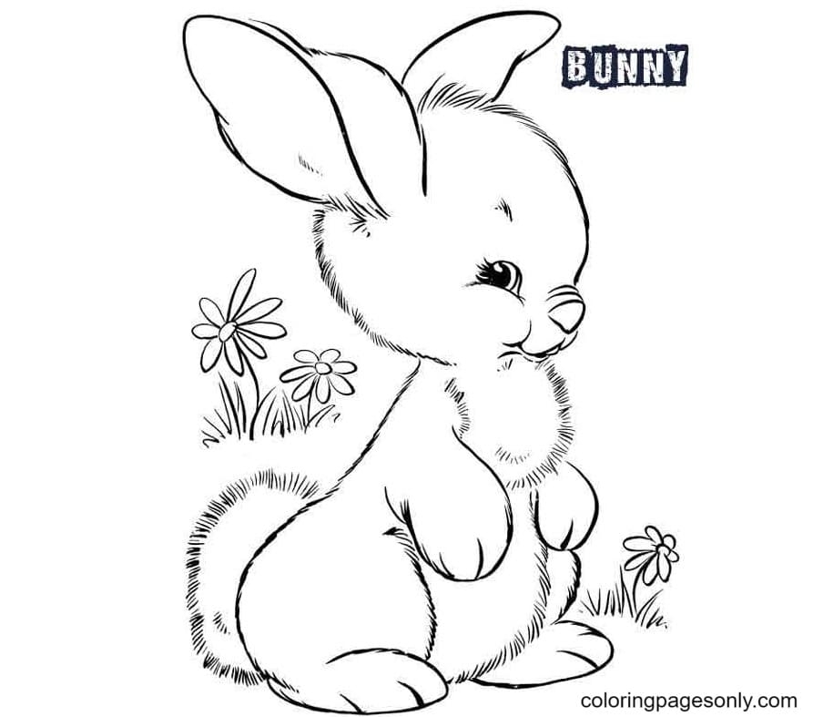 Free Printable Cute Baby Bunnies Coloring Pages Free Printable 