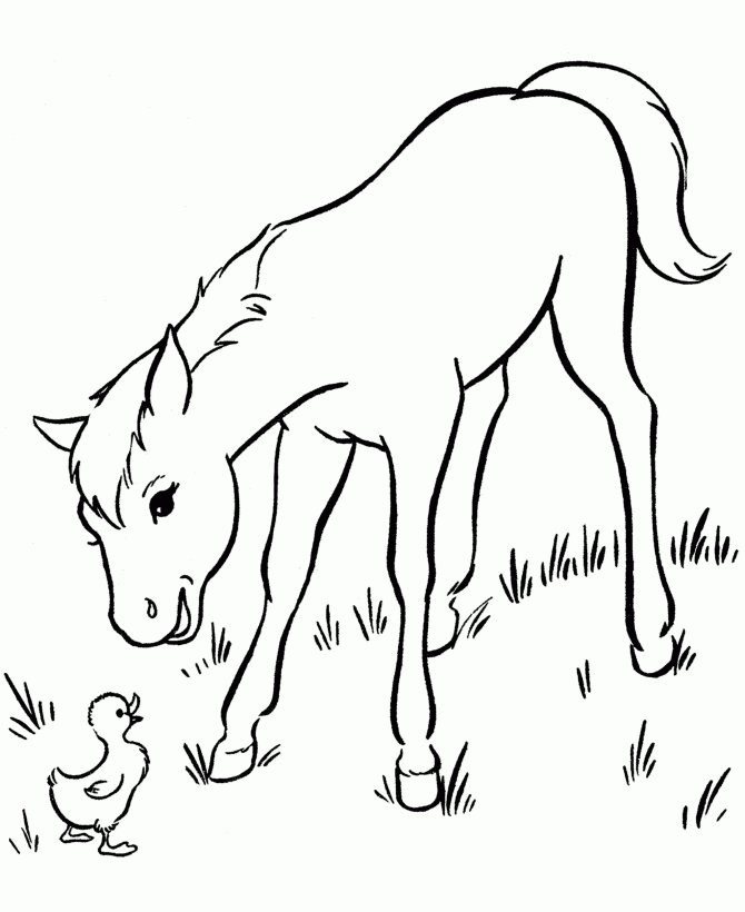 Free Printable Horse Coloring Pages For Kids