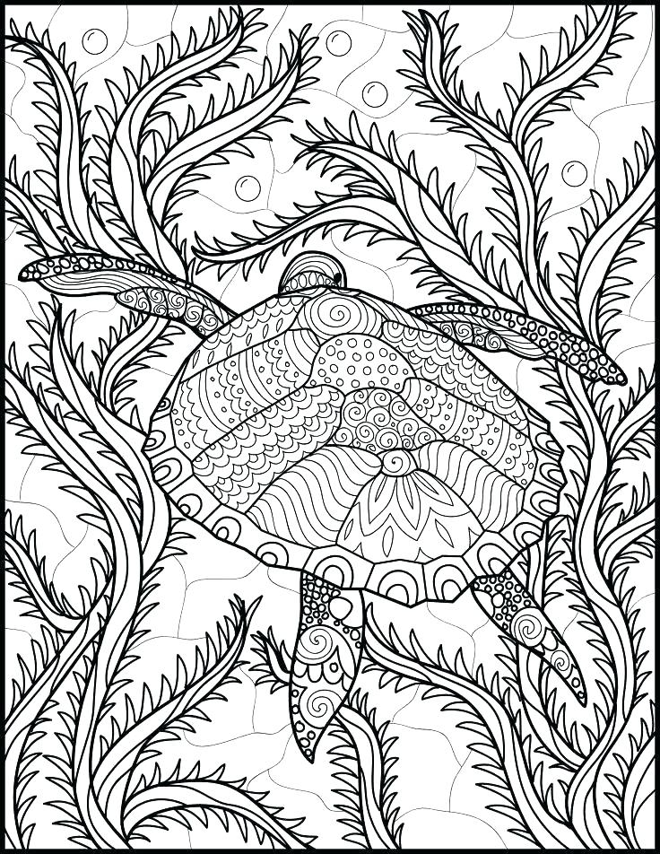 Free Printable Ocean Coloring Pages 1260 The Best Porn Website