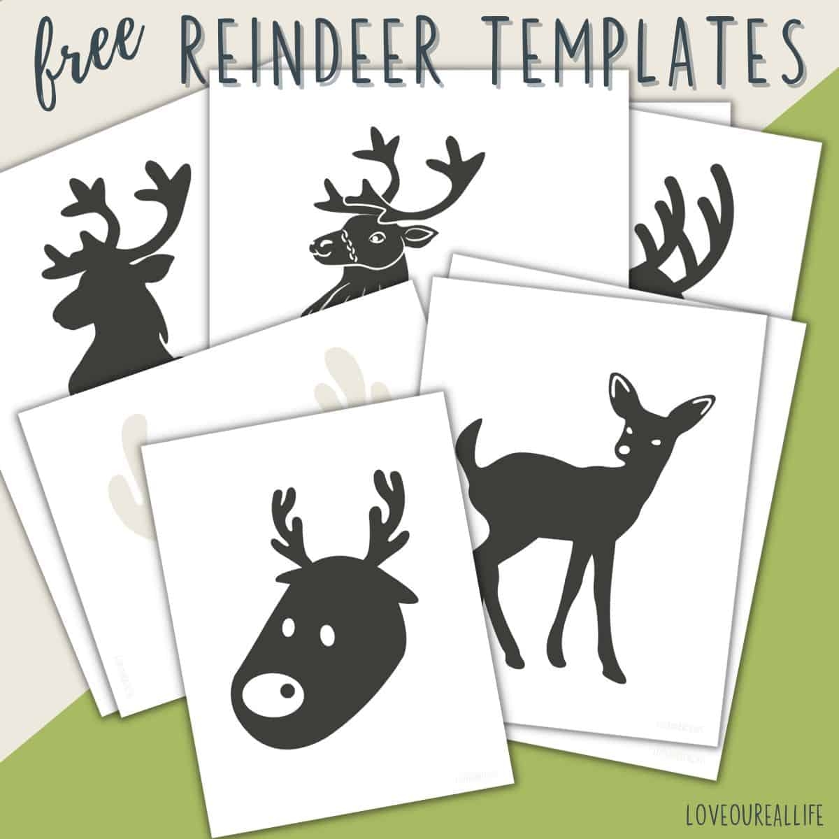 FREE Printable Reindeer Template Paper Craft For Kids Love Our Real 