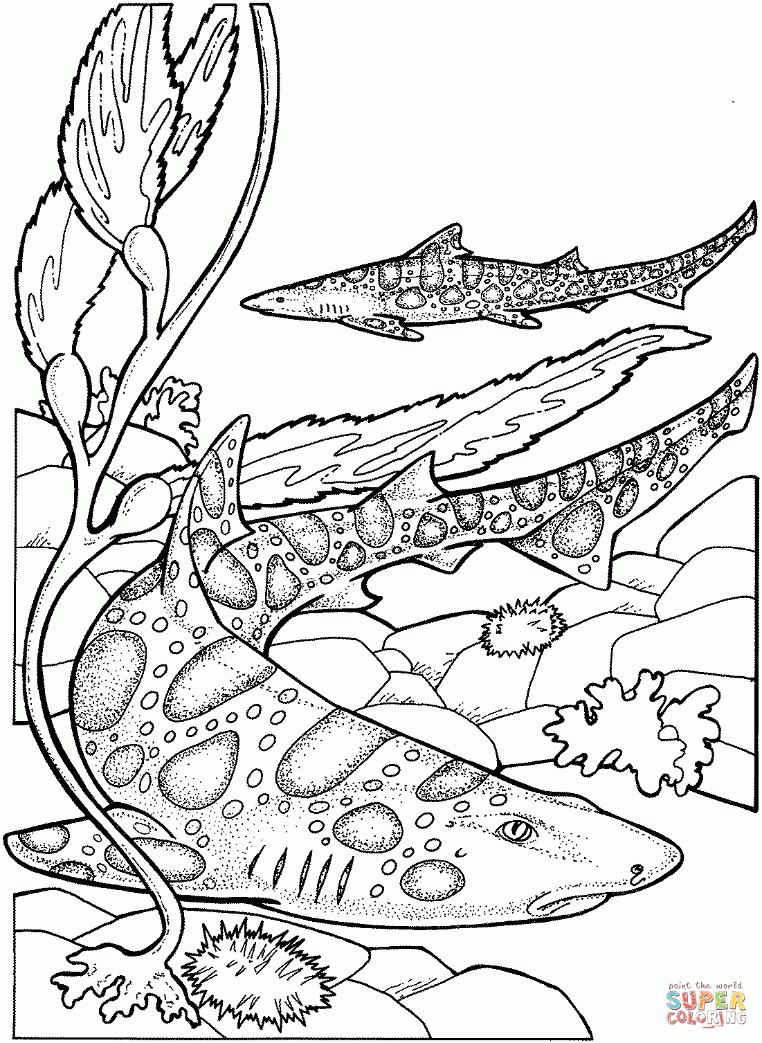 Free Printable Shark Coloring Pages Coloring Home