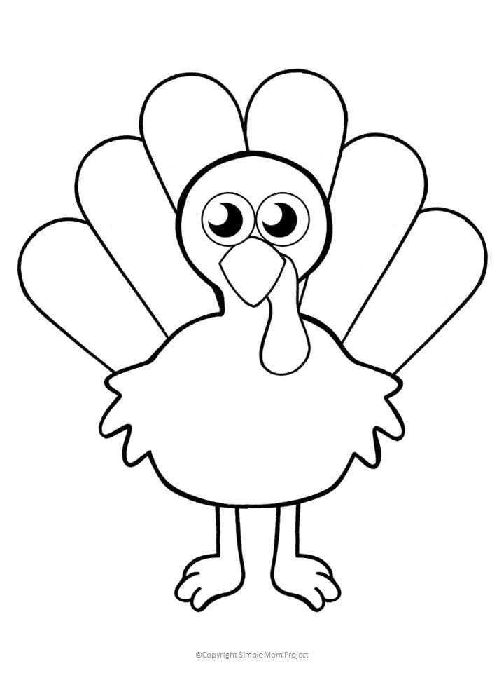 Free Printable Turkey Template Thanksgiving Activities Preschool 