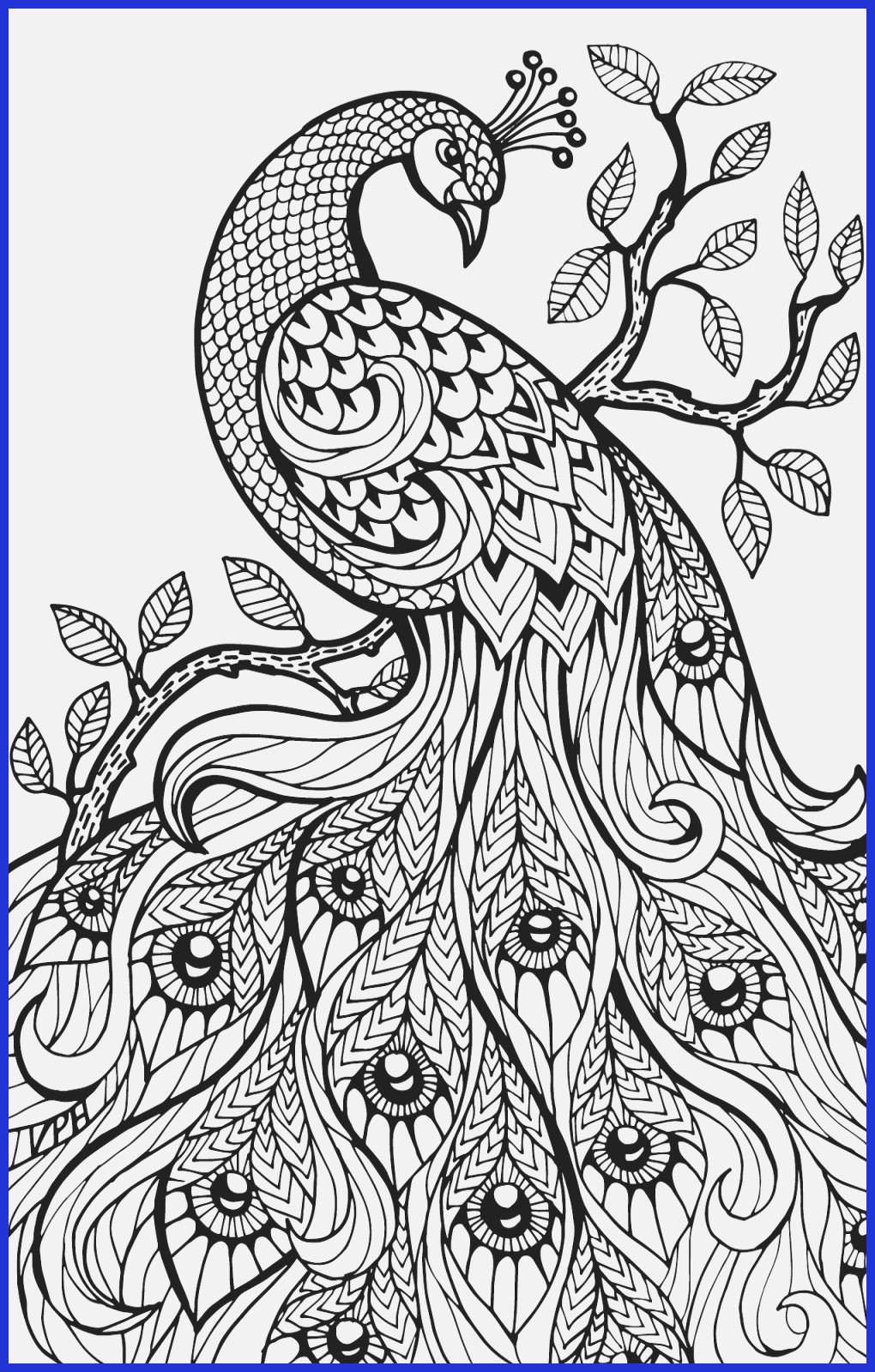 Free Printable Watercolor Coloring Pages Francesco Printable