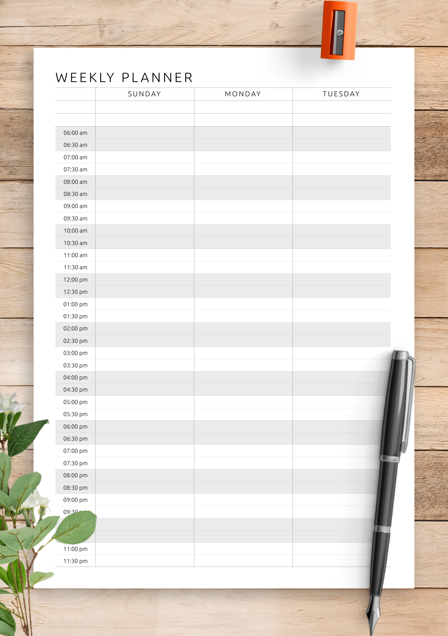 Free Printable Weekly Schedule Template Cute Hourly Planner What You 