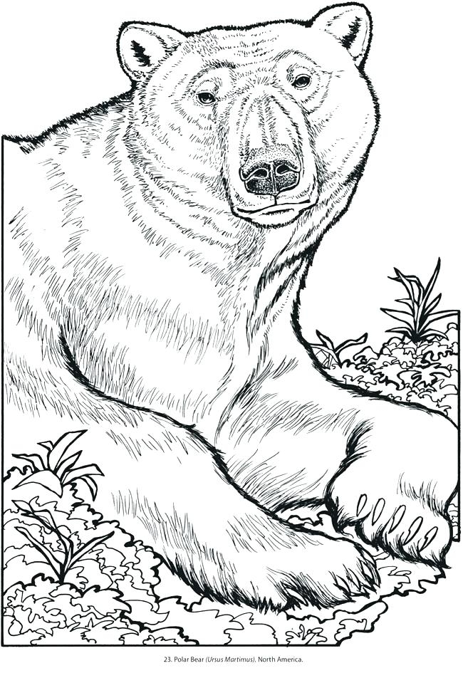 Free Printable Wild Animal Coloring Pages