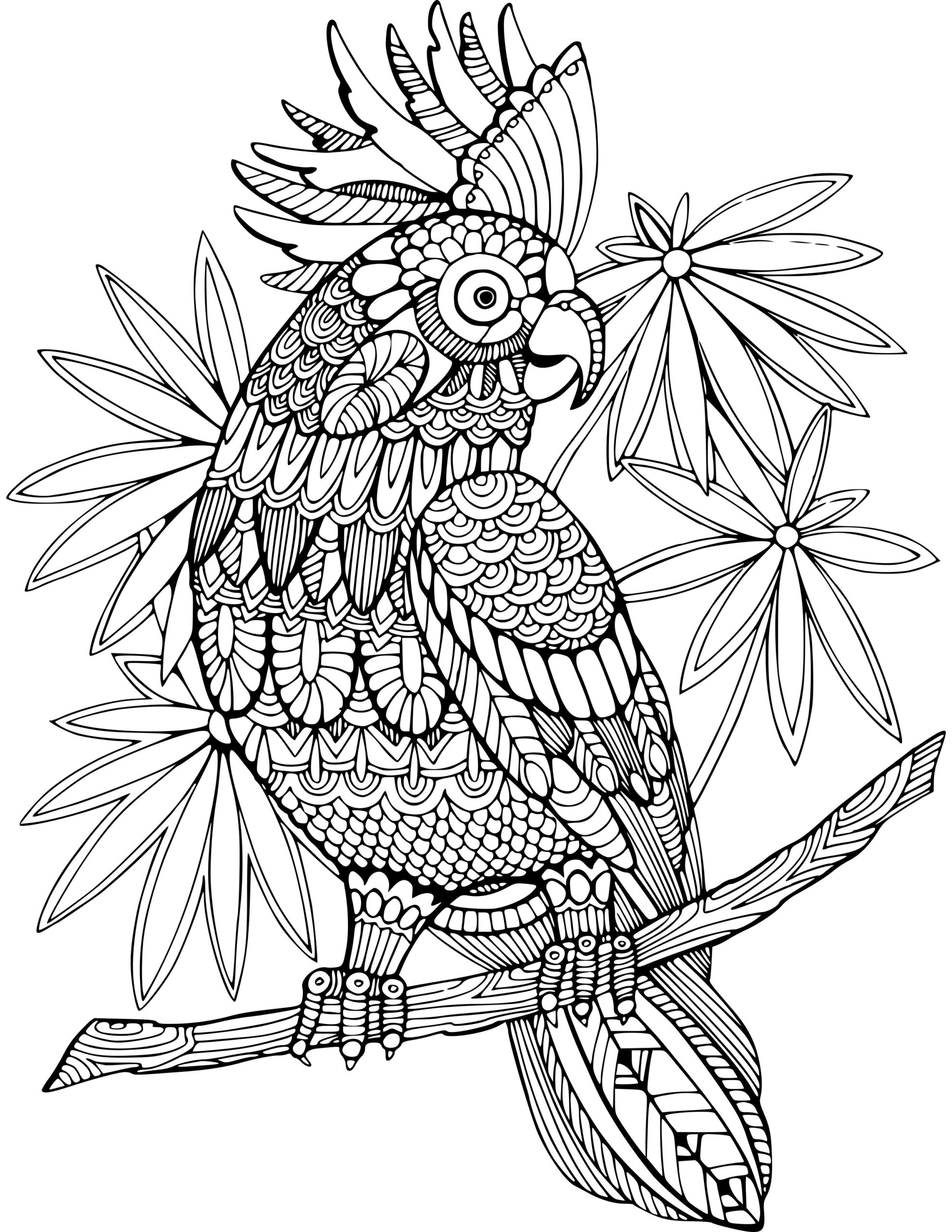Free Printable Wildlife Coloring Pages For Adults Free Coloring Sheet 