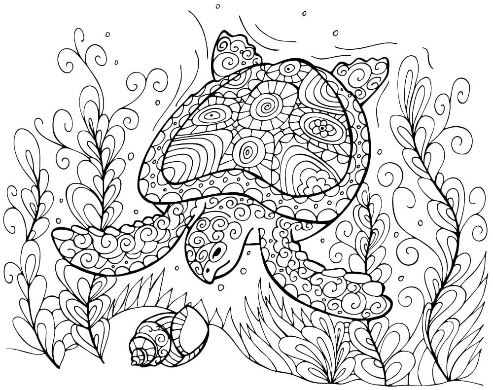 Free TURTLE Coloring Pages For Download Printable PDF
