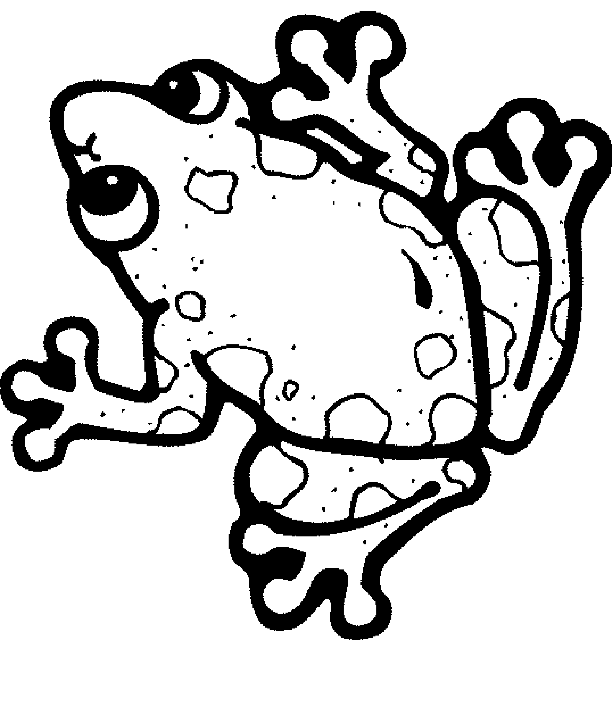 Frog Printable Coloring Pages