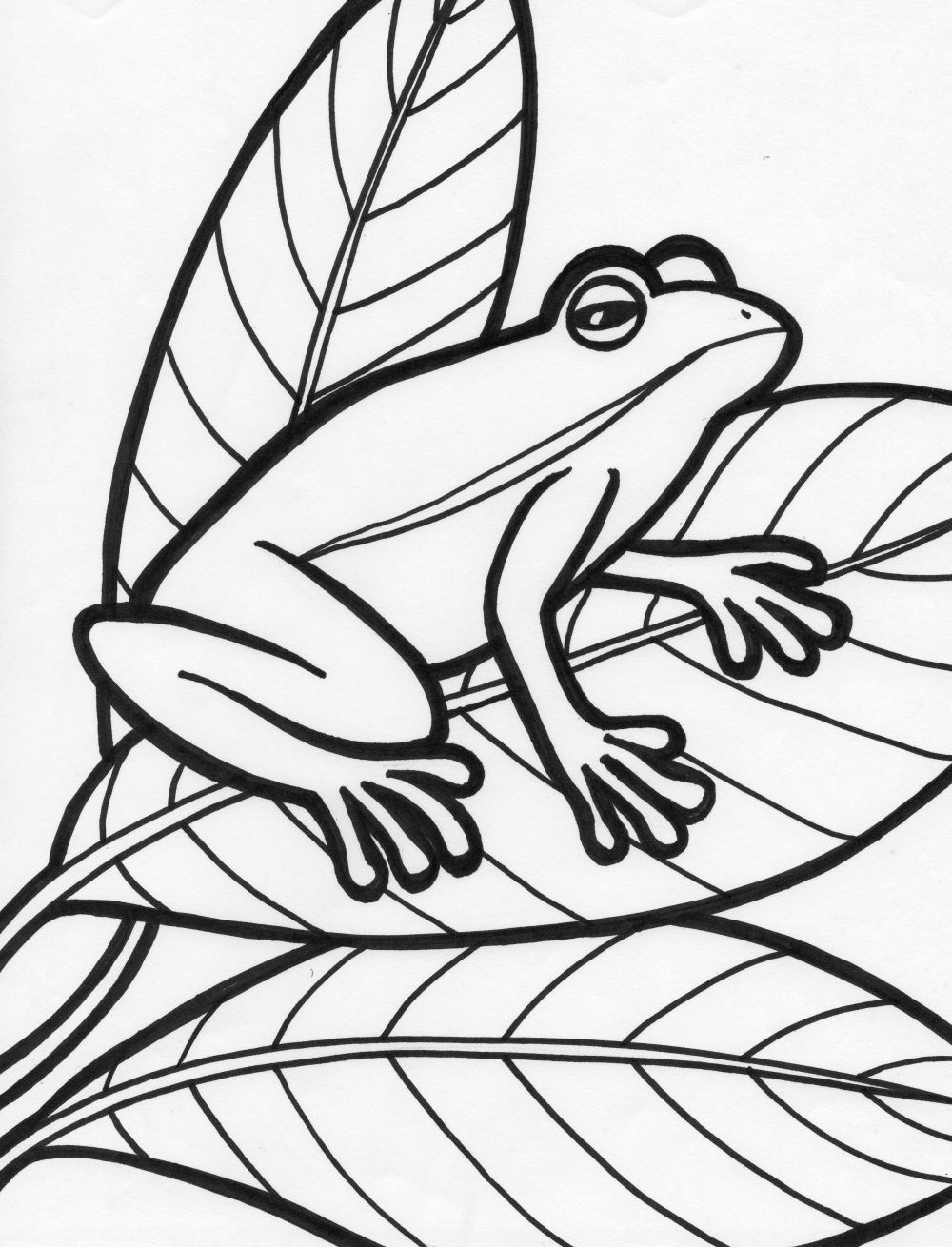 Frog Printable Coloring Pages