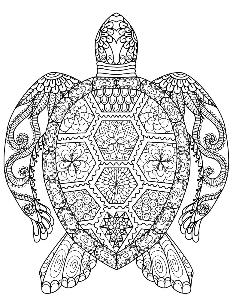 Get This Adult Coloring Pages Animals Turtle 1