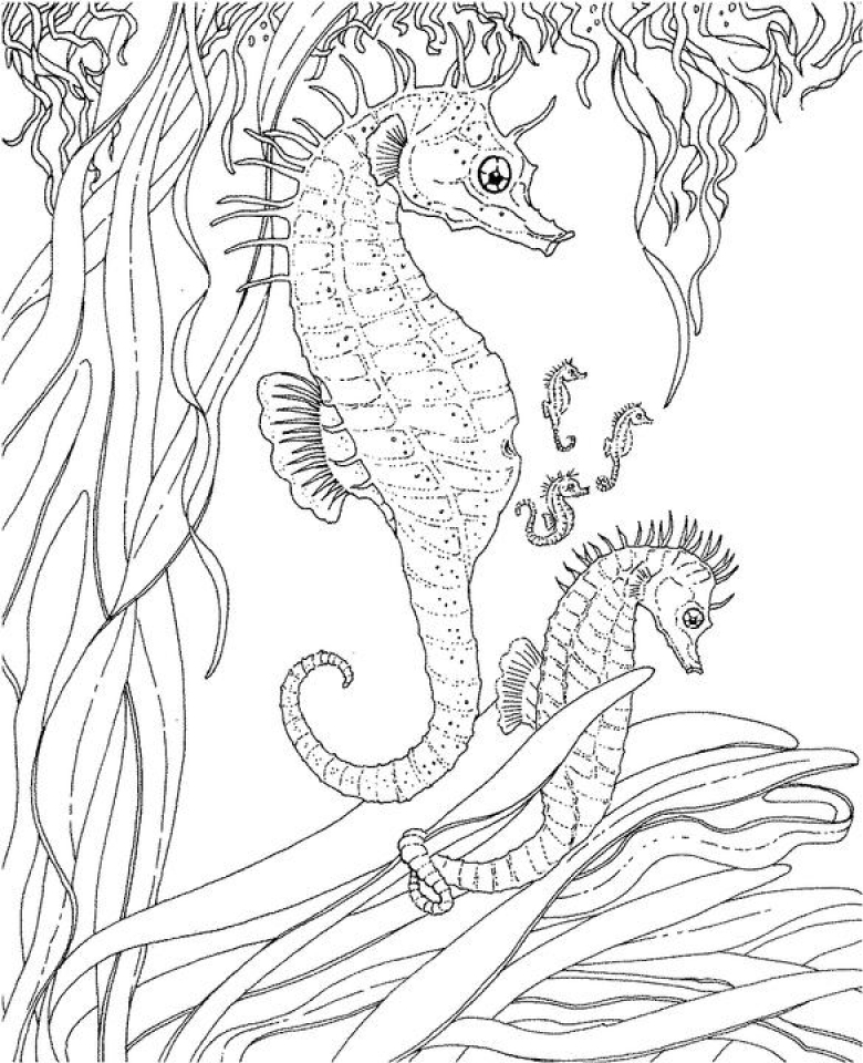 Get This Ocean Coloring Pages Free 2756g