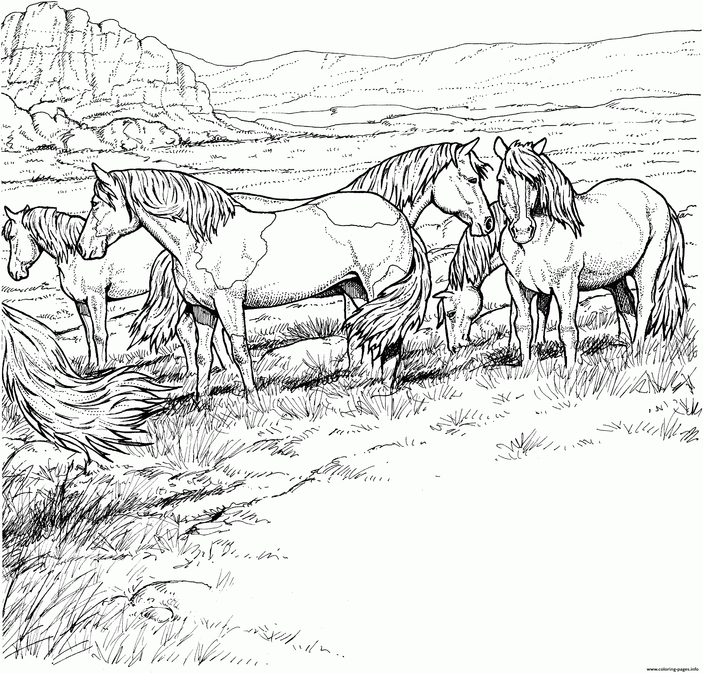 Herd Of Horses Coloring Page Printable