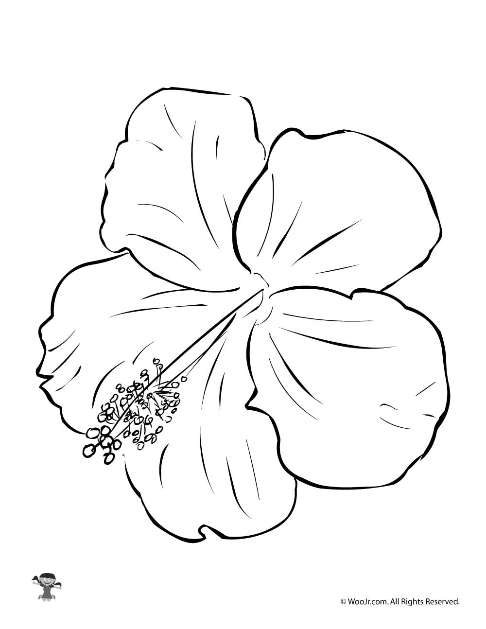 Hibiscus Flower Coloring Page Team Coloring