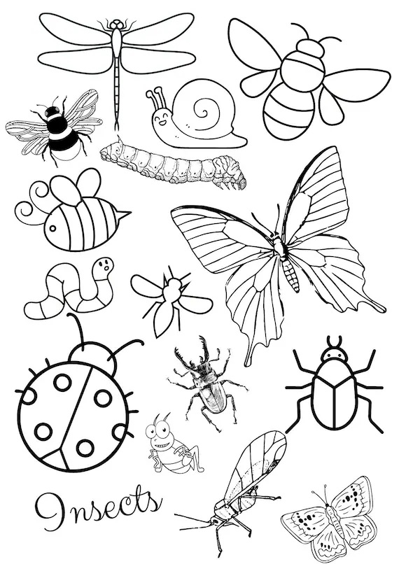 Insects Coloring Pages Free Coloring Book 