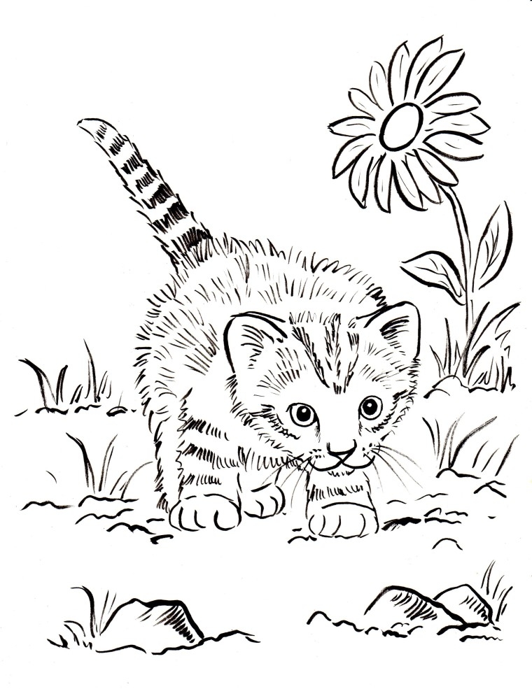 Kitten Coloring Pages Best Coloring Pages For Kids