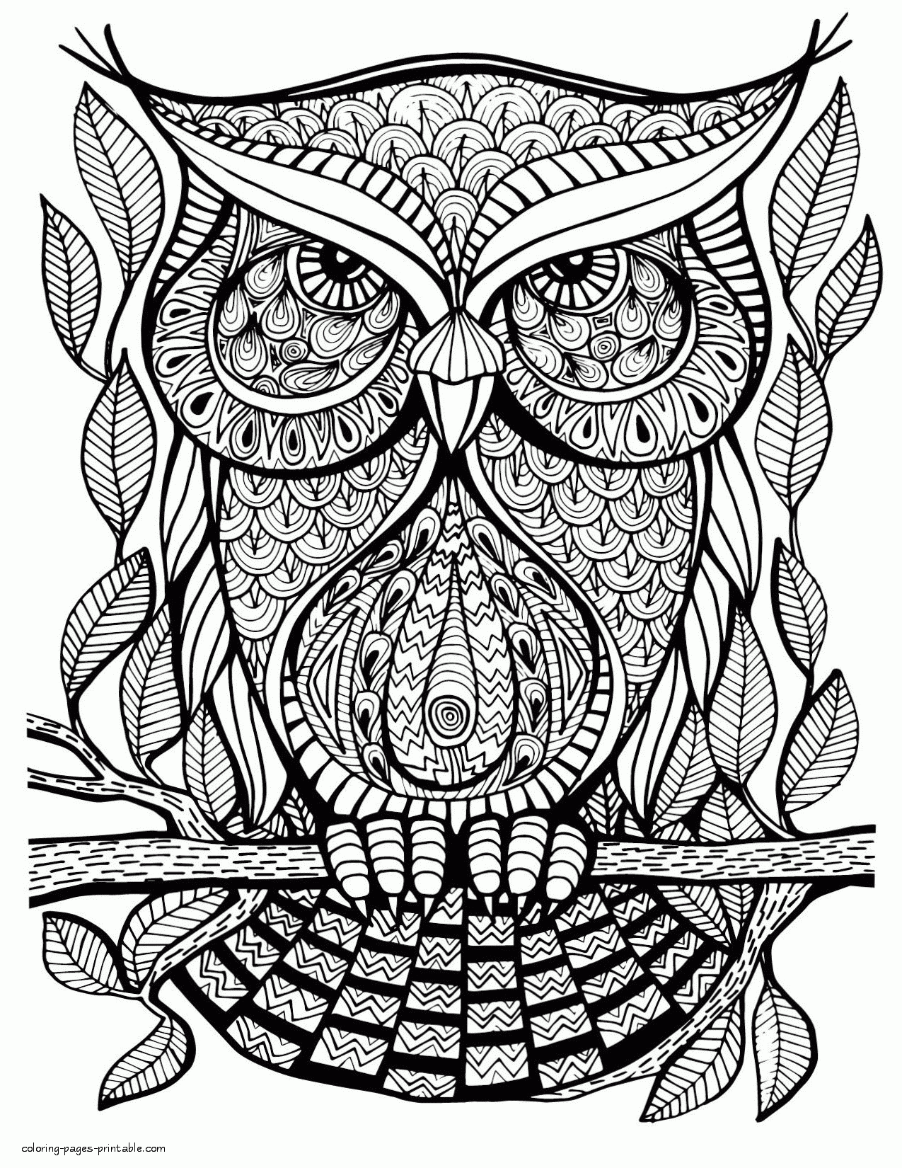 Large Print Coloring Pages For Adults COLORING PAGES PRINTABLE COM