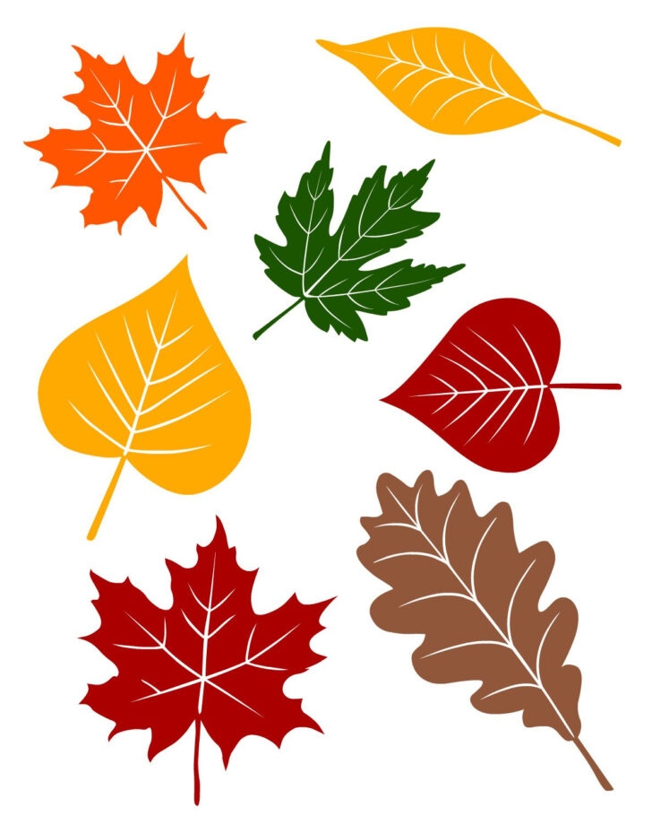 Leaf Stencils Free Printable Printable Leaves